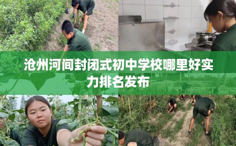 沧州河间封闭式初中学校哪里好实力排名发布