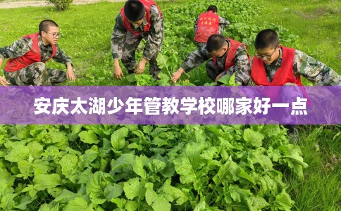 安庆太湖少年管教学校哪家好一点 安庆太湖少年管教学校哪家好一点