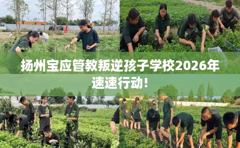 扬州宝应管教叛逆孩子学校2026年速速行动!