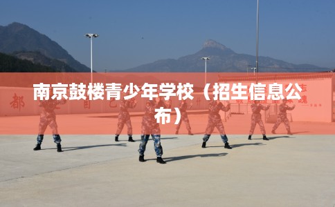 南京鼓楼青少年学校（招生信息公布）