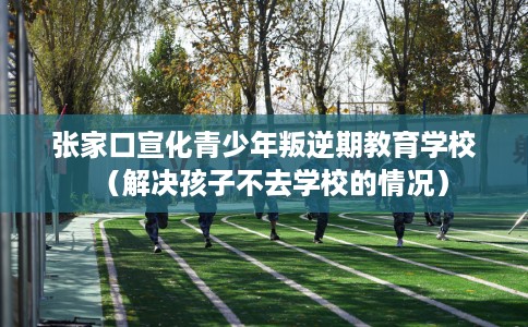 张家口宣化青少年叛逆期教育学校（解决孩子不去学校的情况）