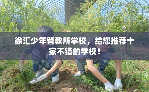 徐汇少年管教所学校，给您推荐十家不错的学校！