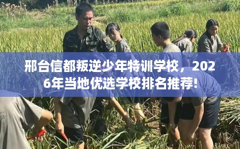 邢台信都叛逆少年特训学校，2026年当地优选学校排名推荐!