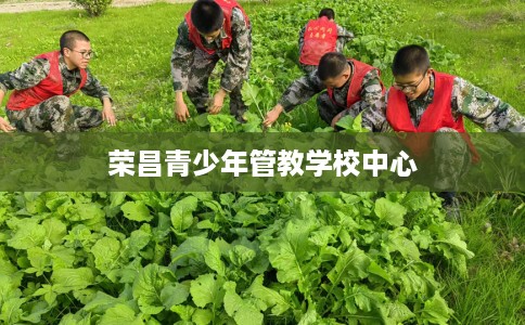 荣昌青少年管教学校中心