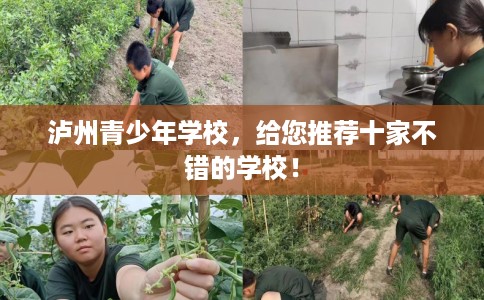 泸州青少年学校,给您推荐十家不错的学校! 泸州青少年学校,给您推荐十家不错的学校!