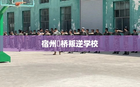 宿州埇桥叛逆学校