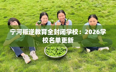宁河叛逆教育全封闭学校：2026学校名单更新