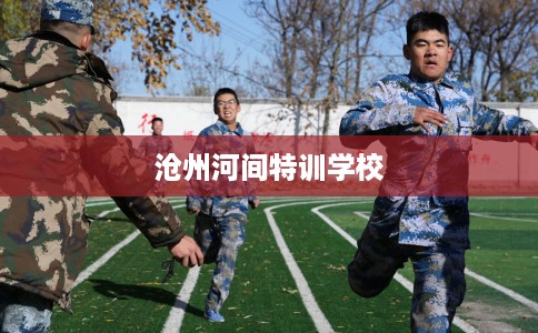 沧州河间特训学校