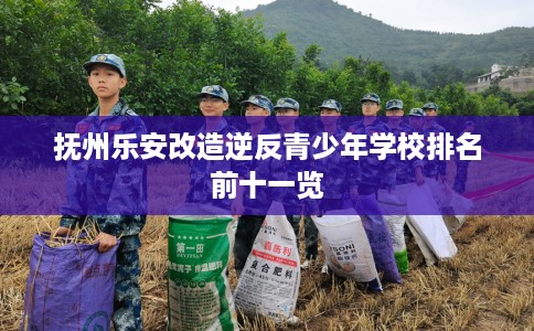 抚州乐安改造逆反青少年学校排名前十一览