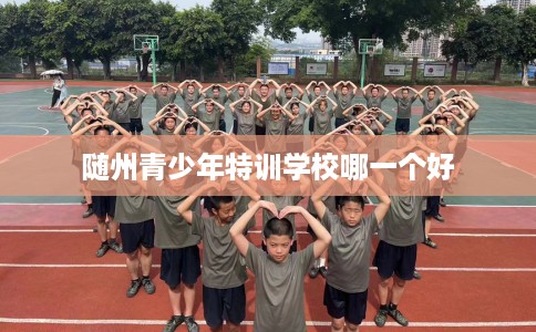 随州青少年特训学校哪一个好 随州青少年特训学校哪一个好