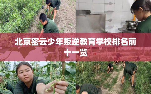 北京密云少年叛逆教育学校排名前十一览 北京密云少年叛逆教育学校排名前十一览