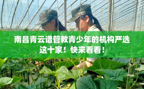 南昌青云谱管教青少年的机构严选这十家！快来看看！