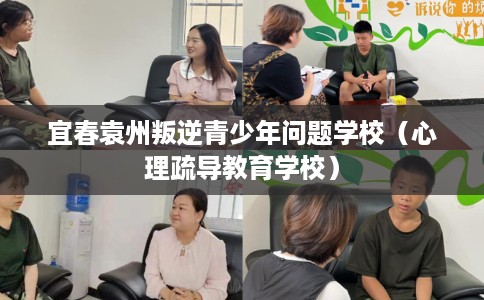 宜春袁州叛逆青少年问题学校（心理疏导教育学校）
