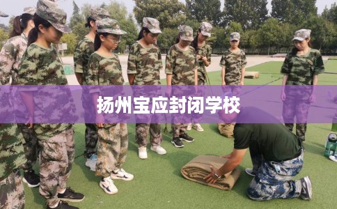 扬州宝应封闭学校