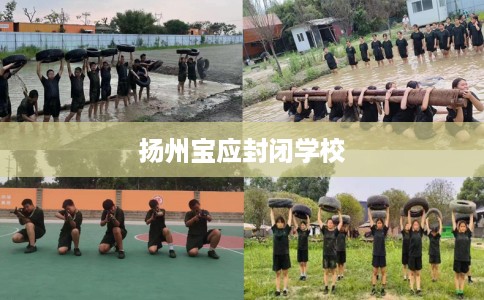 扬州宝应封闭学校