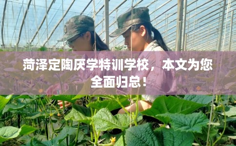 菏泽定陶厌学特训学校，本文为您全面归总！