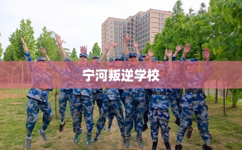 宁河叛逆学校