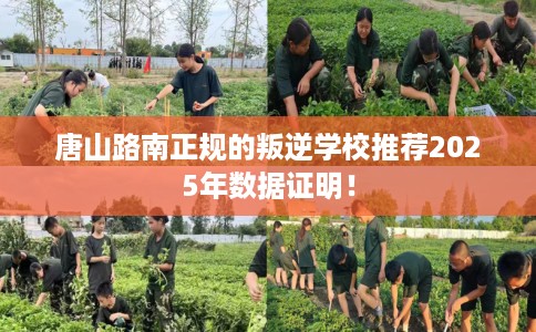 唐山路南正规的叛逆学校推荐2025年数据证明！
