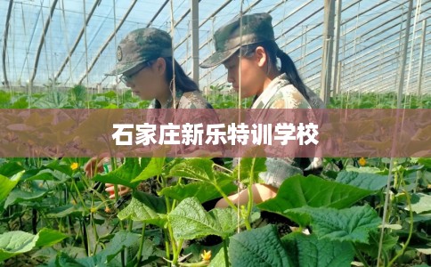 石家庄新乐特训学校
