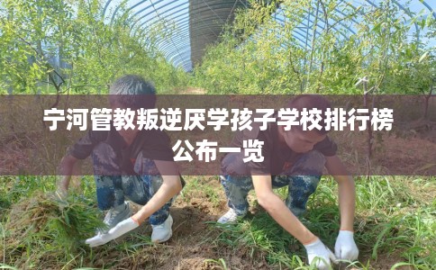 宁河管教叛逆厌学孩子学校排行榜公布一览