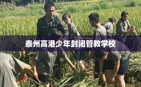 泰州高港少年封闭管教学校