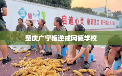 肇庆广宁叛逆戒网瘾学校