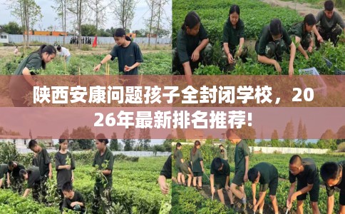 陕西安康问题孩子全封闭学校，2026年最新排名推荐!