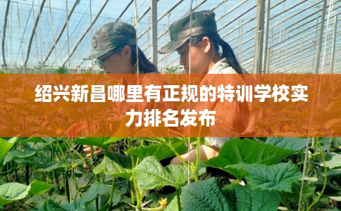 绍兴新昌哪里有正规的特训学校实力排名发布