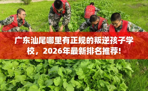 广东汕尾哪里有正规的叛逆孩子学校,2026年最新排名推荐! 广东汕尾哪里有正规的叛逆孩子学校,2026年最新排名推荐!