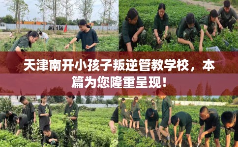 天津南开小孩子叛逆管教学校,本篇为您隆重呈现! 天津南开小孩子叛逆管教学校,本篇为您隆重呈现!