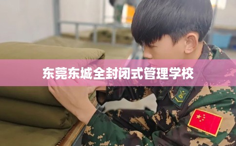 东莞东城全封闭式管理学校