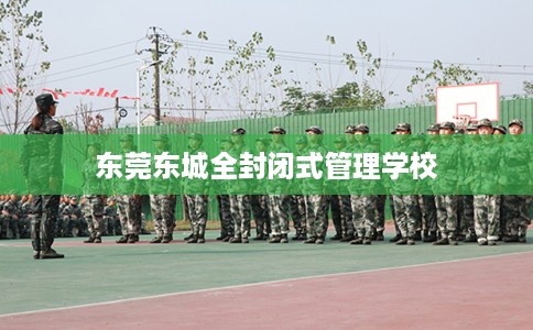 东莞东城全封闭式管理学校