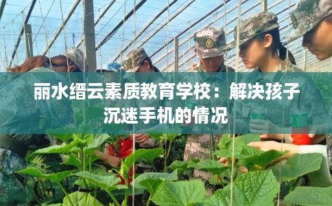 丽水缙云素质教育学校：解决孩子沉迷手机的情况