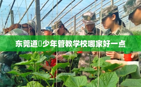东莞道滘少年管教学校哪家好一点