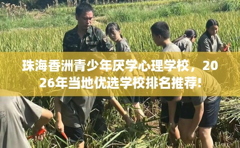 珠海香洲青少年厌学心理学校，2026年当地优选学校排名推荐!