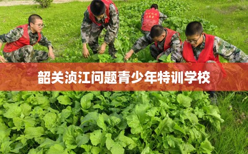 韶关浈江问题青少年特训学校
