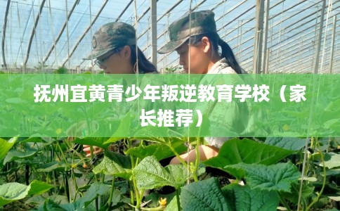 抚州宜黄青少年叛逆教育学校（家长推荐）