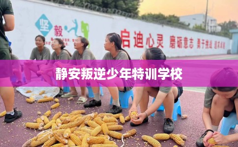 静安叛逆少年特训学校