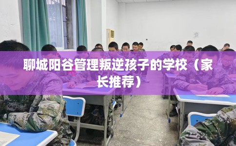 聊城阳谷管理叛逆孩子的学校(家长推荐) 聊城阳谷管理叛逆孩子的学校(家长推荐)