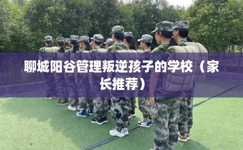聊城阳谷管理叛逆孩子的学校(家长推荐) 聊城阳谷管理叛逆孩子的学校(家长推荐)