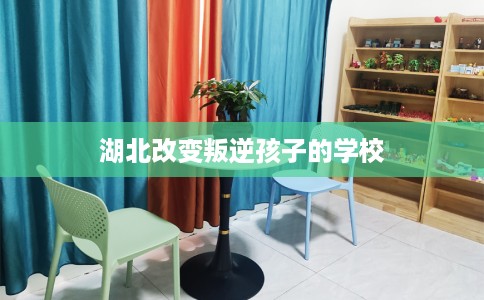 湖北改变叛逆孩子的学校
