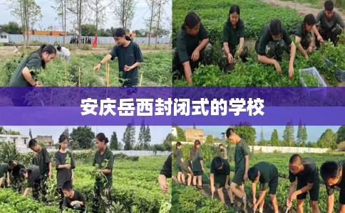 安庆岳西封闭式的学校