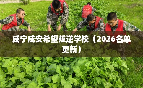 咸宁咸安希望叛逆学校（2026名单更新）