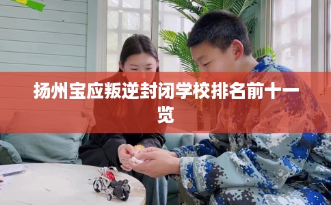 扬州宝应叛逆封闭学校排名前十一览