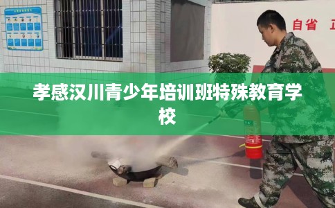 孝感汉川青少年培训班特殊教育学校