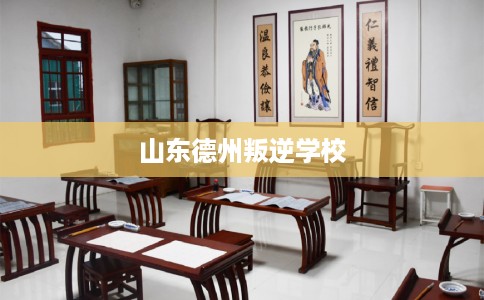 山东德州叛逆学校