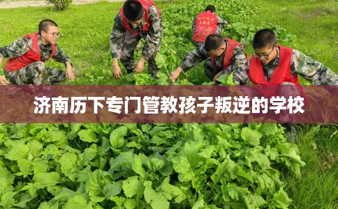 济南历下专门管教孩子叛逆的学校