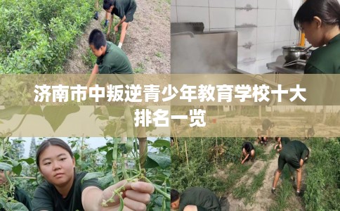 济南市中叛逆青少年教育学校十大排名一览