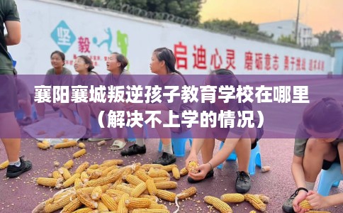 襄阳襄城叛逆孩子教育学校在哪里（解决不上学的情况）