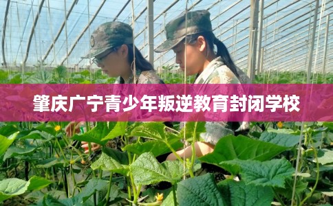 肇庆广宁青少年叛逆教育封闭学校